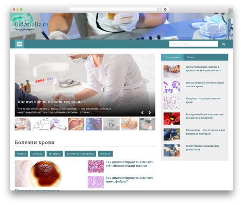 Flat pm WordPress plugin - gidanaliz.ru