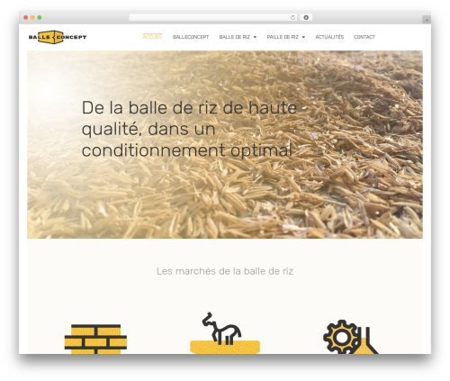 WordPress theme Pine - balleconcept.com