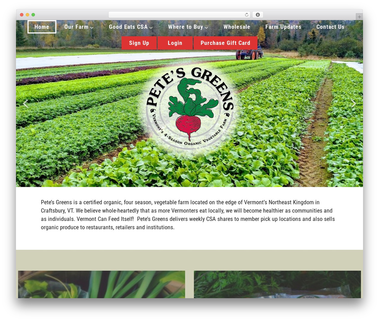 Cherry Framework theme WordPress - petesgreens.com Cherry Framework theme WordPress - petesgreens.com