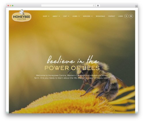 Studiothink Custom Theme WordPress theme - honeybeecentre.com