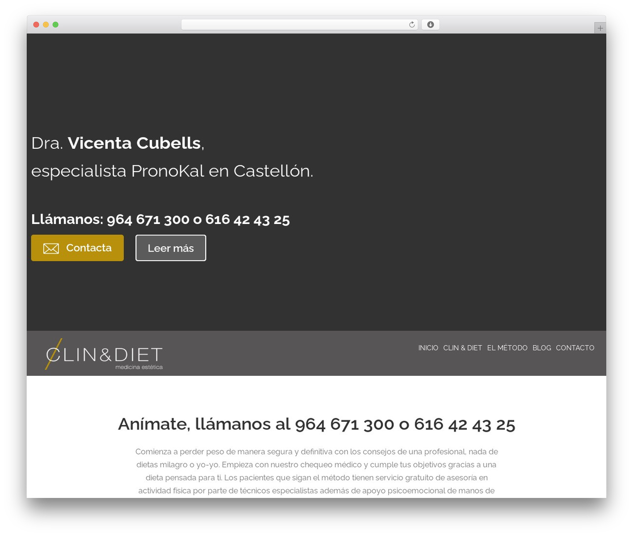 Theme WordPress cherry - vicentacubells.com