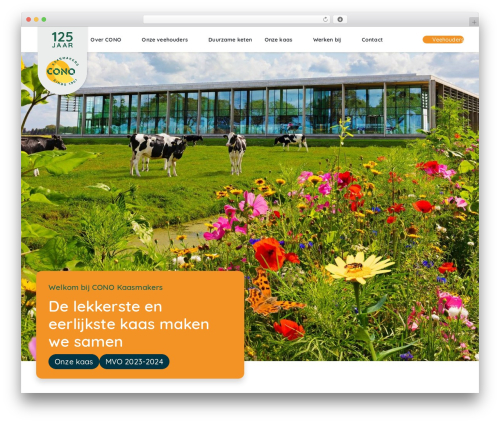 Ss bb lottie WordPress plugin - cono.nl