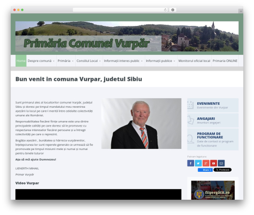 WordPress theme Candidate - vurpar.ro