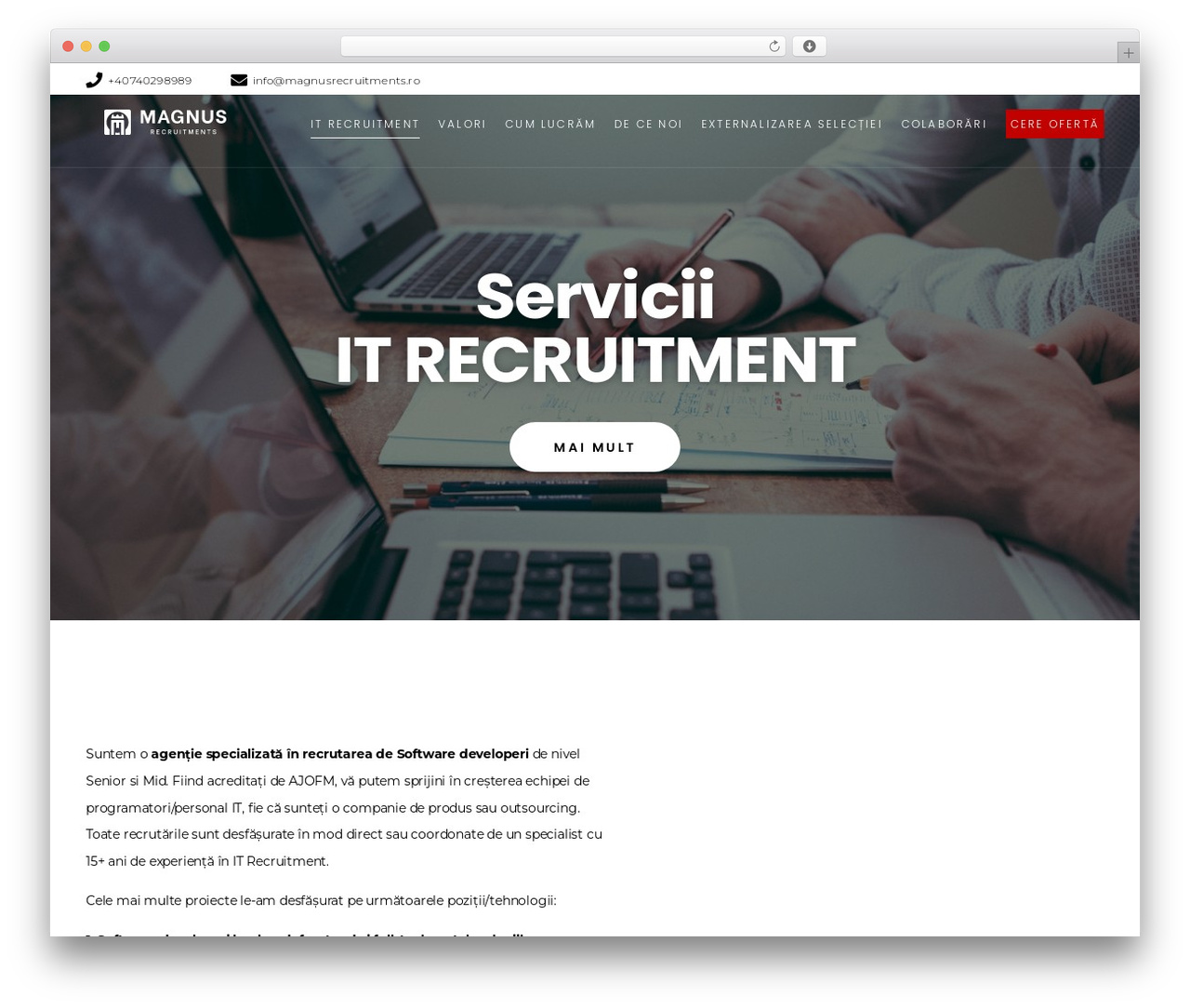 WordPress theme Commuz - magnusrecruitments.ro