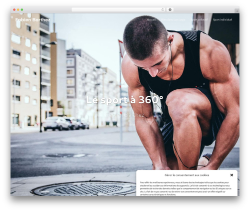 Noindex paged url WordPress plugin - fabien-barthez.com