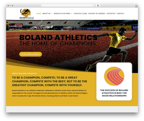 Styles For WP Pagenavi Addon – Better design for post pagination (styles-for-wp-pagenavi-addon) free WordPress plugin - bolandathletics.com