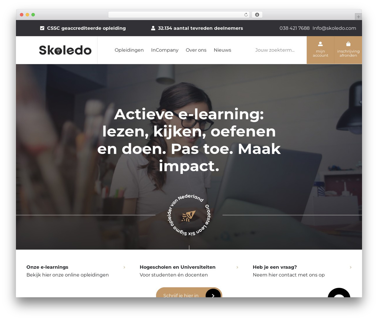 WordPress theme Blue - skoledo.com