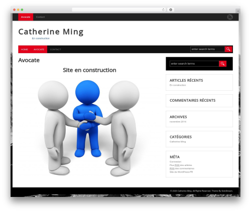 WP-Visual WordPress theme - cmavocate.ch