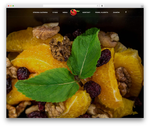 Bite WP theme - dietaoptimum.pl