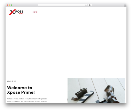 Frames WordPress theme - xposeprime.com