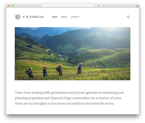 Theme WordPress Write - vnsaroja.com