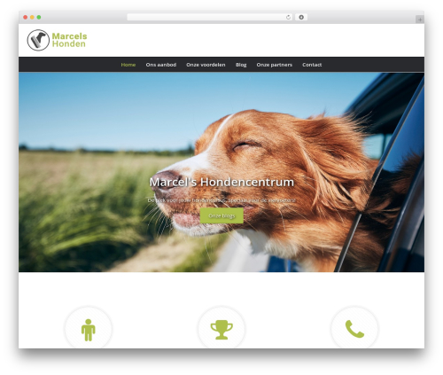 WordPress theme theme001 - stapcontact.nl