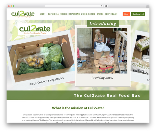 323 Design WordPress Theme top WordPress theme - cul2vate.org