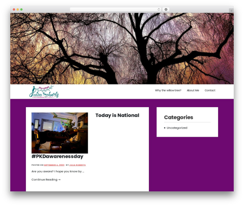 Amazorize premium WordPress theme - theotherjuliaroberts.com