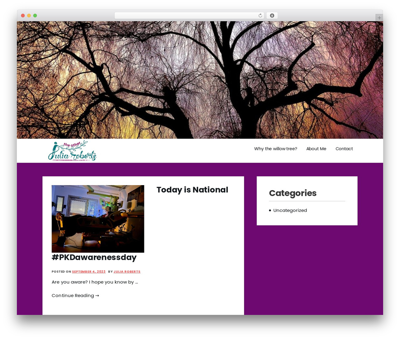 Amazorize premium WordPress theme - theotherjuliaroberts.com Amazorize premium WordPress theme - theotherjuliaroberts.com