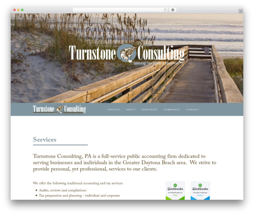 Argus WP WordPress theme - turnstoneconsulting.net