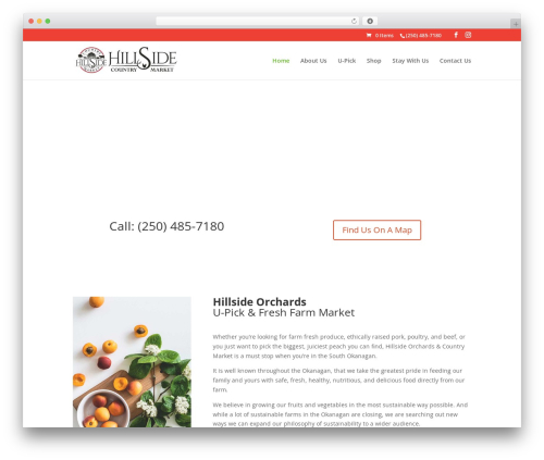 Woocommerce gateway moneris WordPress plugin - hillsideorchards.ca