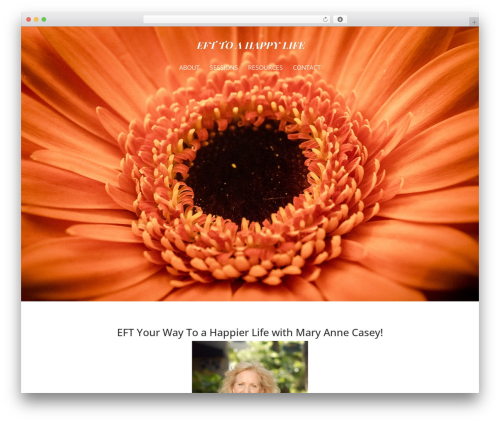 Divi WordPress theme - efttoahappylife.com