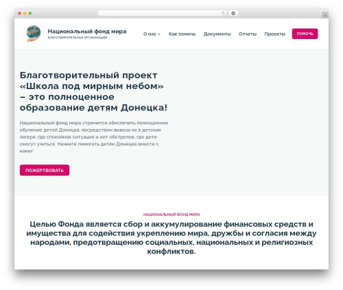 Kandinsky WP theme - nfondmira.ru