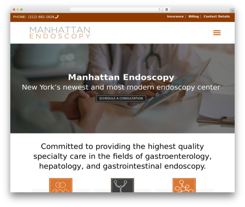 PE Centers theme WordPress - manhattanendo.com