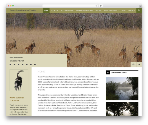 Sequel WordPress gaming theme - takerireservezambia.com Sequel WordPress gaming theme - takerireservezambia.com