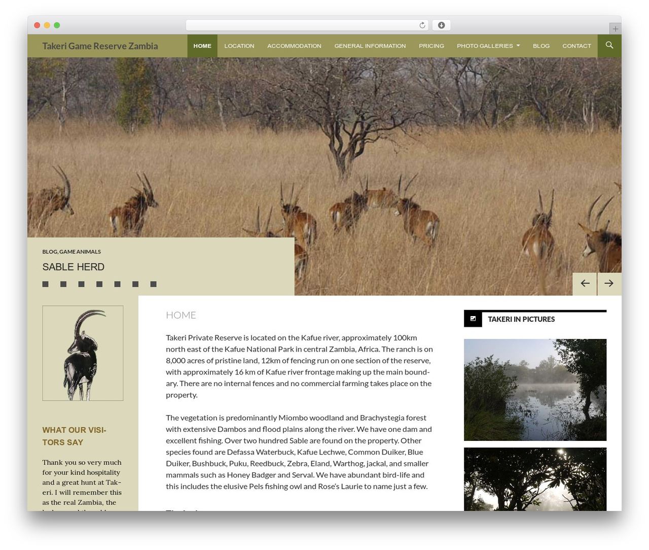 Sequel WordPress gaming theme - takerireservezambia.com Sequel WordPress gaming theme - takerireservezambia.com