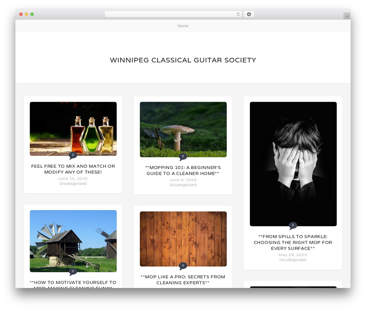 Stacker Lite WordPress theme - winnipegclassicalguitarsociety.org