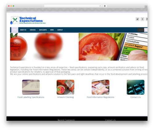 WordPress theme alterna - technicalexpectations.co.uk