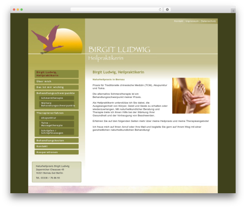 WordPress theme Birgit - tcm-heilpraxis-pankow.de