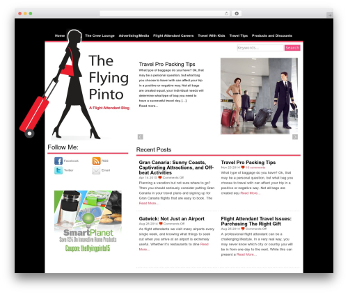 WordPress theme Pinto - theflyingpinto.com