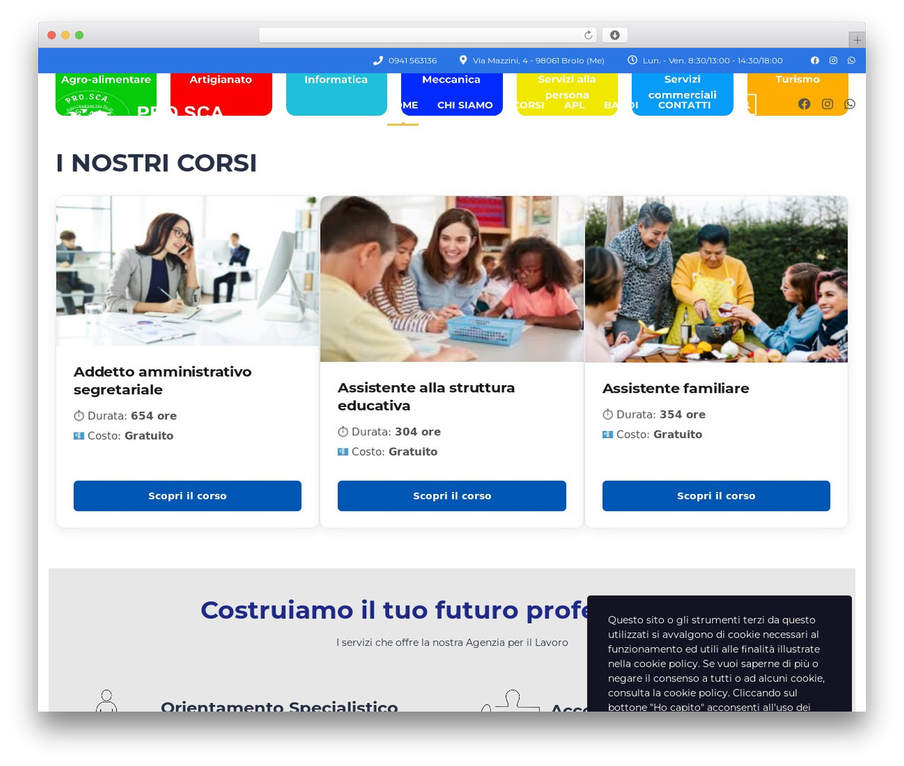 WordPress website theme Master Study Child - prosca.com