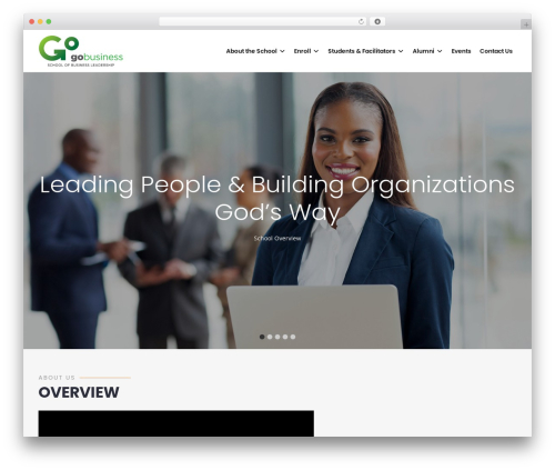 Zd framework WordPress plugin - strategicbusinesschool.net