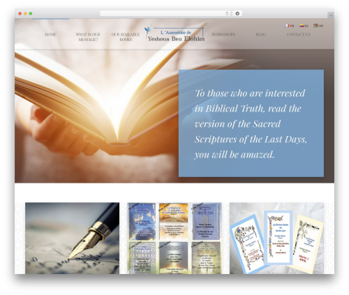 Divinity top WordPress theme - assemblee.info