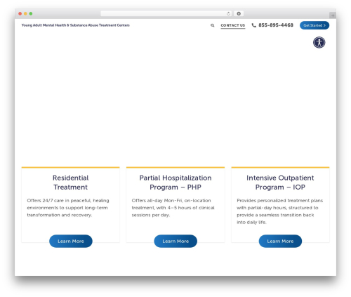Helios theme WordPress - newportinstitute.com