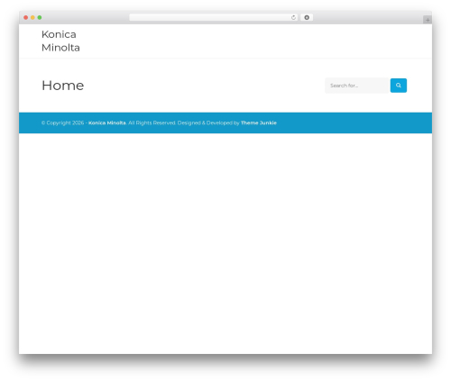 Tj extras WordPress plugin - minolta.lv