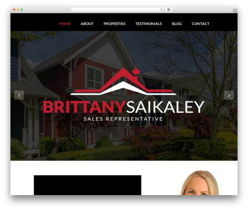 Theme WordPress Main Parent Theme - brittanysaikaley.com