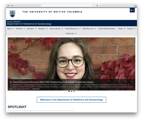 Wp query search filter WordPress plugin - obgyn.ubc.ca