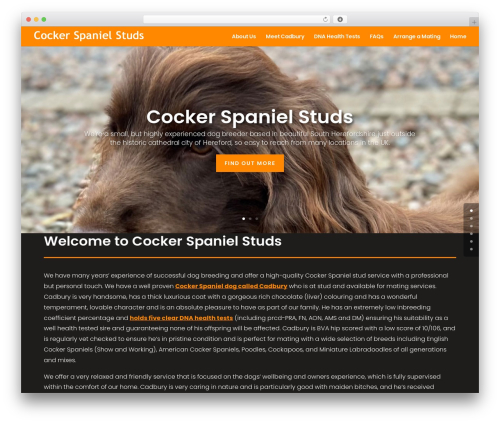 GDPR Banner (gdpr-banner) free WordPress plugin - cockerspanielstuds.co.uk