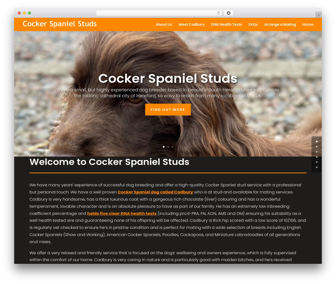 WordPress theme Divi - cockerspanielstuds.co.uk WordPress theme Divi - cockerspanielstuds.co.uk