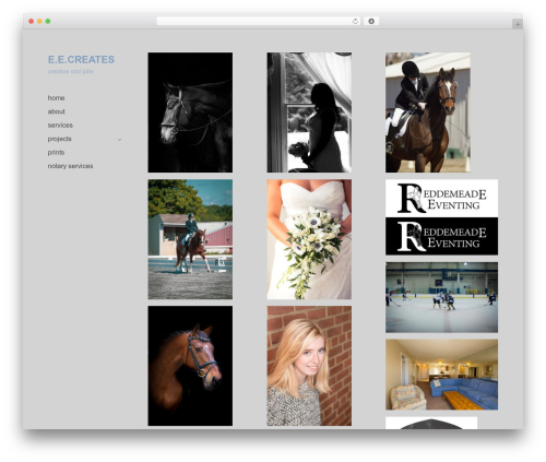 WordPress theme Optics - eecreates.com