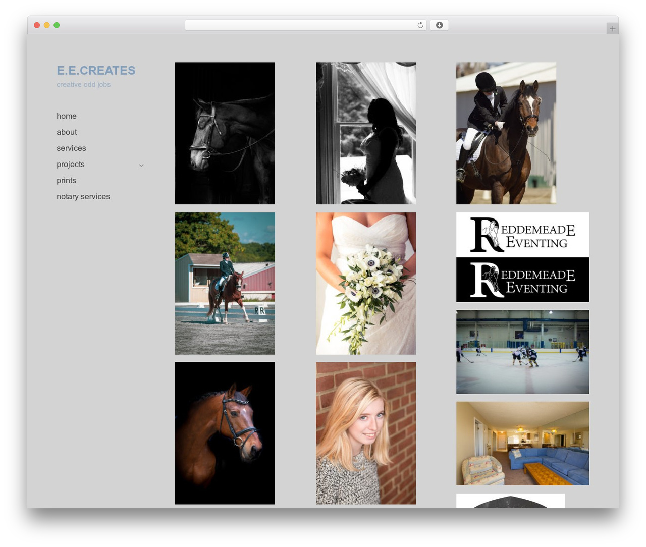 WordPress theme Optics - eecreates.com