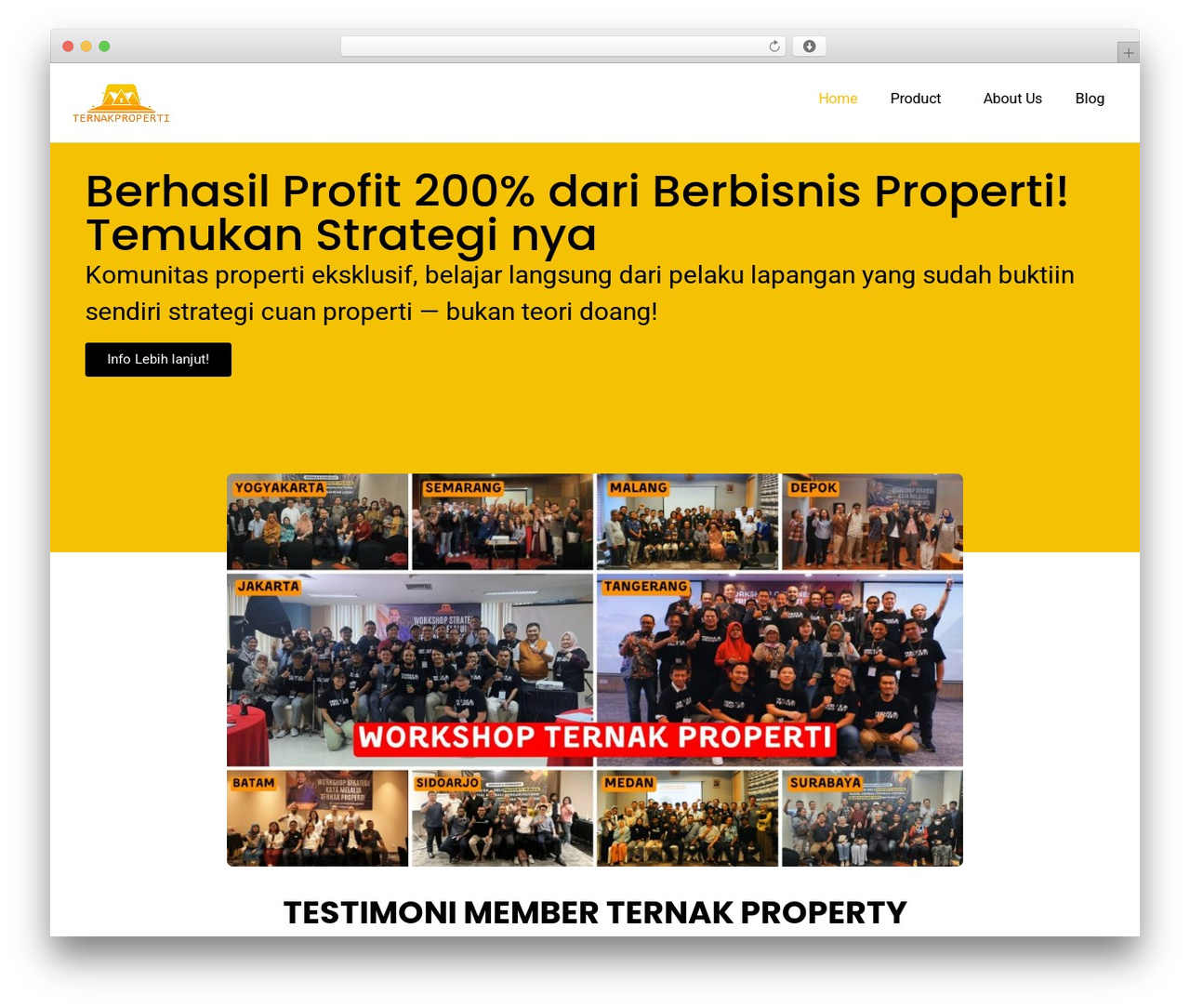 WordPress website theme Hello Elementor - ternakproperti.com