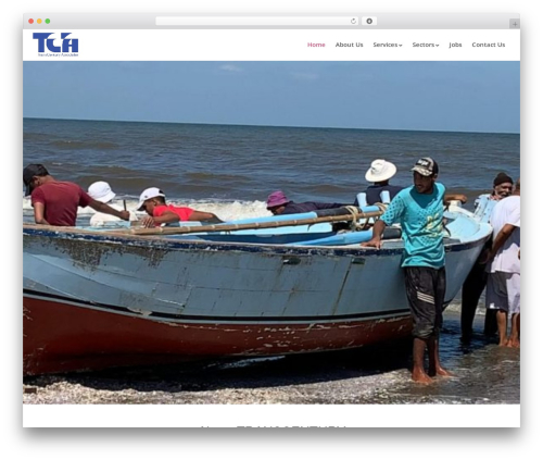 BeGlide WordPress theme - transcenturyassociates.com