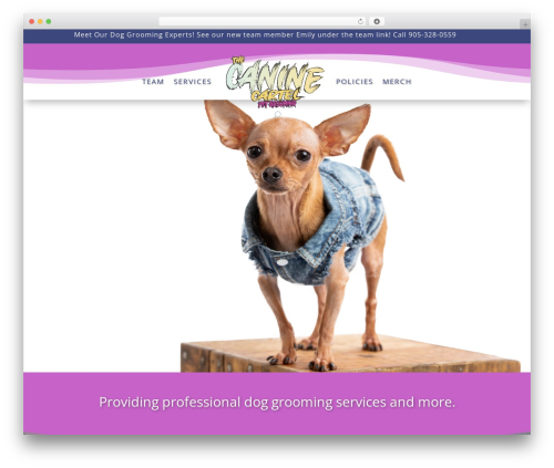 Coming Soon by Supsystic (coming-soon-by-supsystic) free WordPress plugin - thecaninecartel.ca Coming Soon by Supsystic (coming-soon-by-supsystic) free WordPress plugin - thecaninecartel.ca