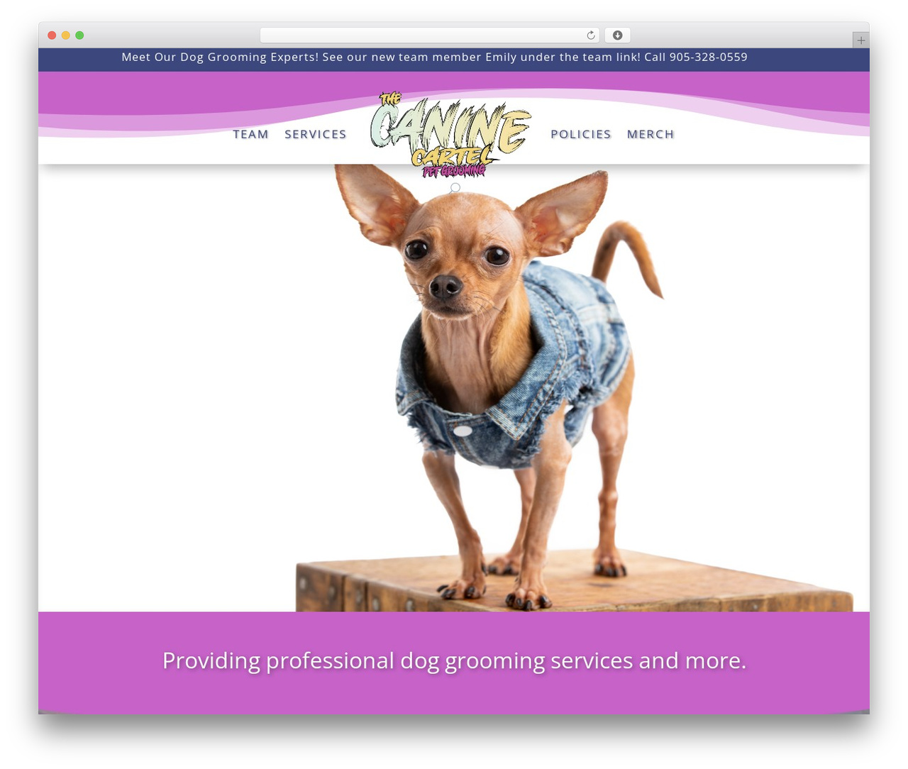Divi top WordPress theme - thecaninecartel.ca
