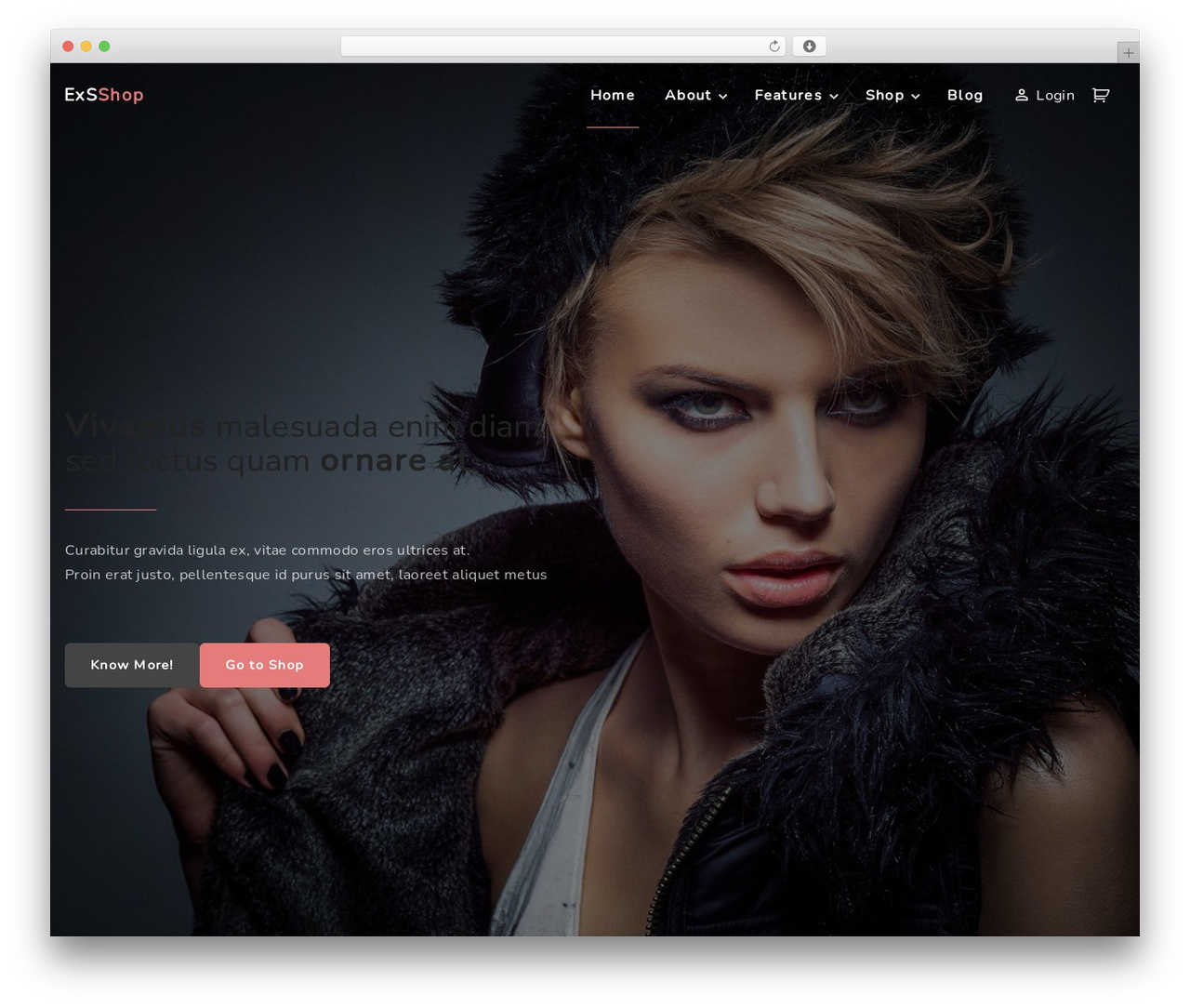 ExS Pro theme WordPress - foodlyhouse.com ExS Pro theme WordPress - foodlyhouse.com