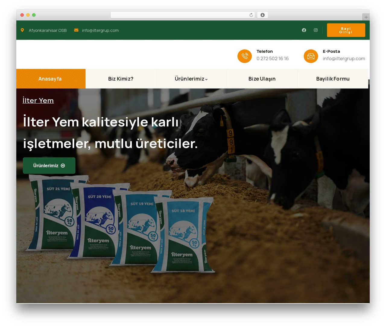 Theme WordPress Orgarium - ilteryem.com Theme WordPress Orgarium - ilteryem.com