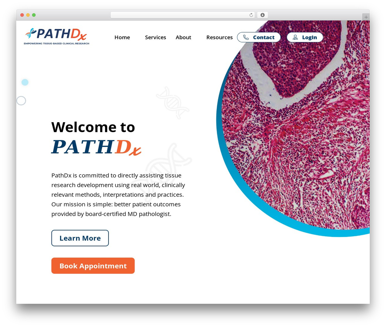 WordPress theme Design Web - pathdx.com WordPress theme Design Web - pathdx.com