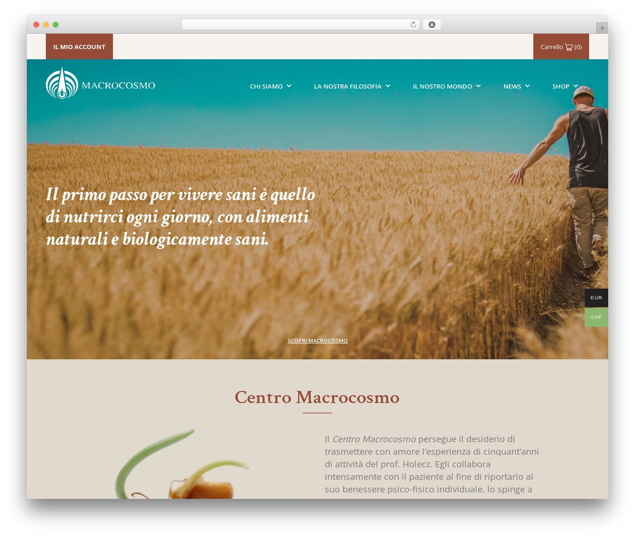 WP Bootstrap Starter WordPress theme - macrocosmo.shop