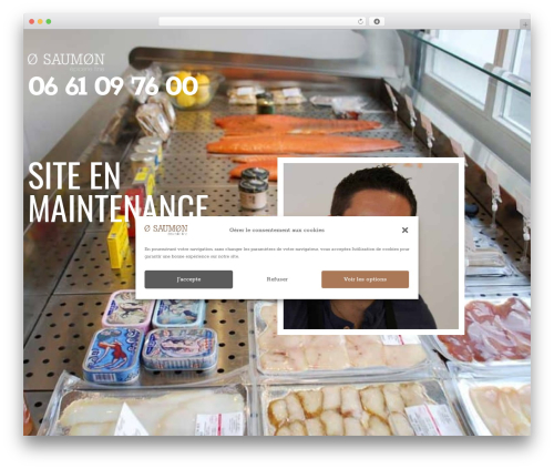 Best WordPress theme OceanWP - o-saumon.fr